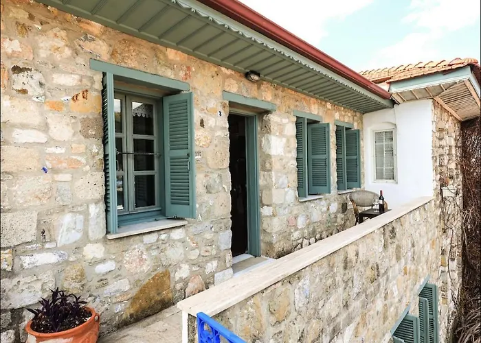Castle81Homes Green Villa